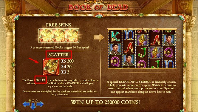 book of dead слот